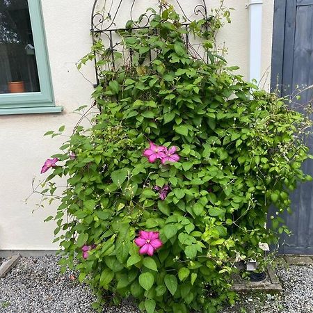 Rural Cosy Retreat For Two Near Port Isaac Apartment Delabole Ngoại thất bức ảnh